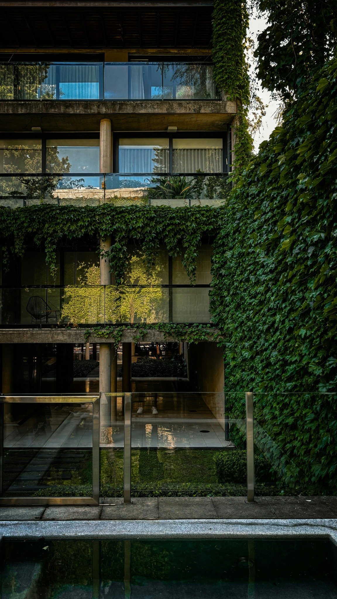 Fațadă verde urbană